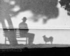 ‘It reminds me of the love I felt for my faithful companion’: Tony Hertz’s best phone picture