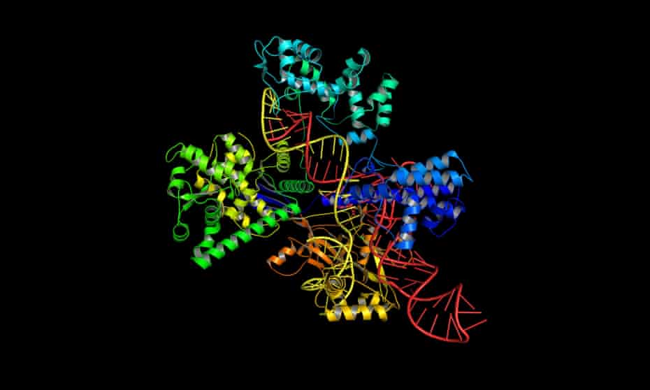 The Cas9 protein uses a molecular structure - a system for editing, regulating and targeting genomes.