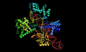 The Crispr/Cas9 system uses a molecular structure to edit genomes.