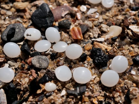 Close up of nurdles on a beach