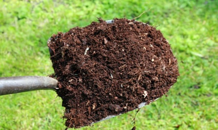 Alys Fowler Mulch Mulch And Mulch Again Gardening Advice The Guardian