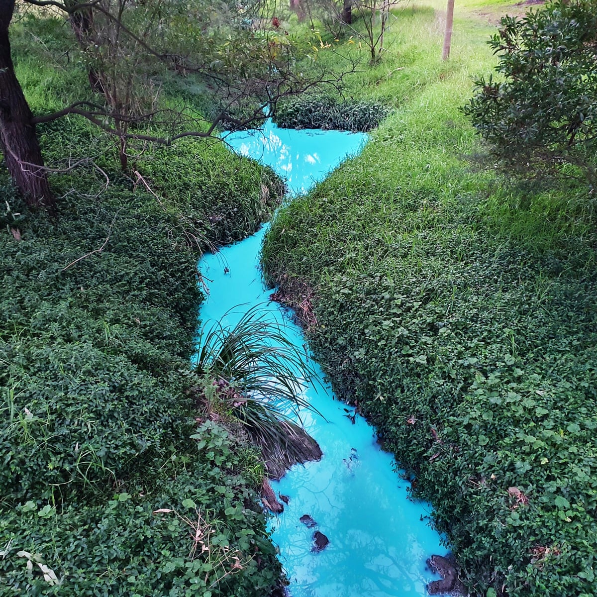 Melbourne creek turns bright blue after construction chemicals wash into waterway | Pollution