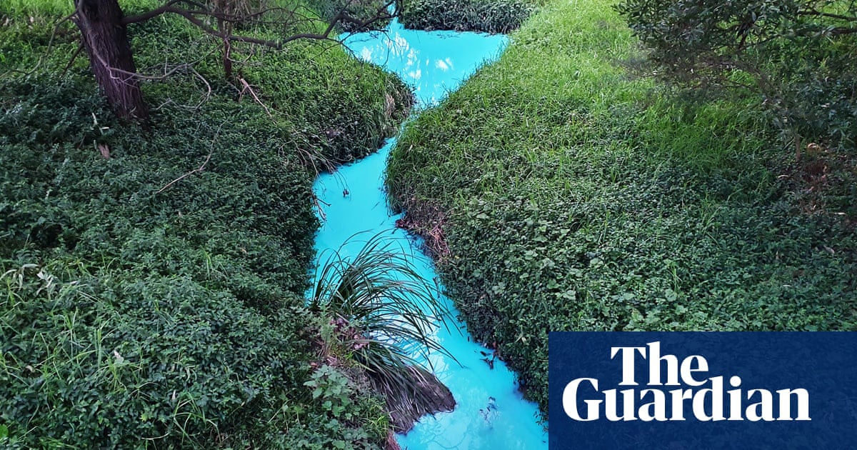 Melbourne creek turns bright blue after construction chemicals wash into waterway | Pollution Melbourne creek turns bright blue after construction chemicals wash into waterway | Pollution