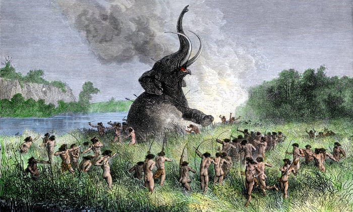 the guardian