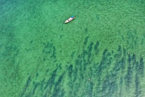 Uma imagem de drone mostra um rebanho de dugongos tomando sol sob as águas da ilha de Libong, no sul da Tailândia.