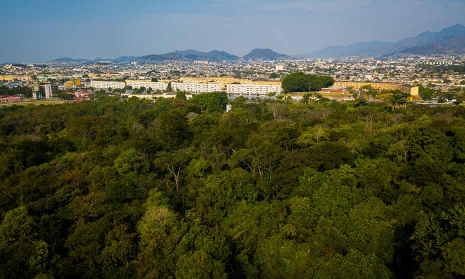 Rio F1 Racetrack Plans Add Fuel To Brazil Deforestation Row Rio De Janeiro The Guardian Rio F1 Racetrack Plans Add Fuel To Brazil Deforestation Row Rio De Janeiro The Guardian
