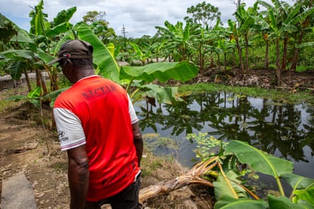 Benjamin Palacios, farmer and community leader walks beside his plantation
