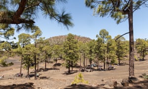 Chio recreation area and campsite (Tenerife island)