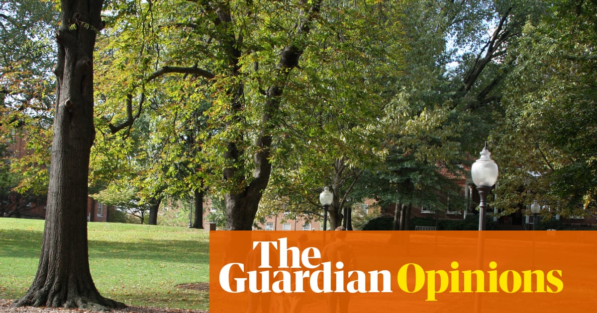 Why are so many academics in the Epstein files? It’s not just about money | Christopher Marquis