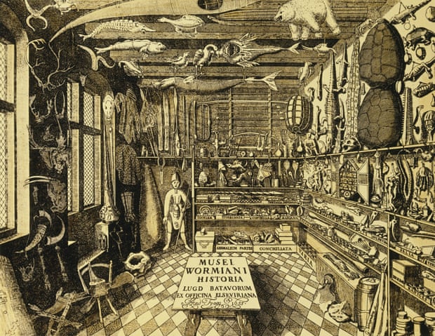 A 1655 engraving published by Elzevier of Amsterdam of the collection of curios – or Wormianum, as he called it – assembled by the Danish physician and natural historian Ole Worm.