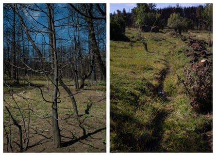 A burn scar from the fire and a dry acequia on Carla Gomez’s property.