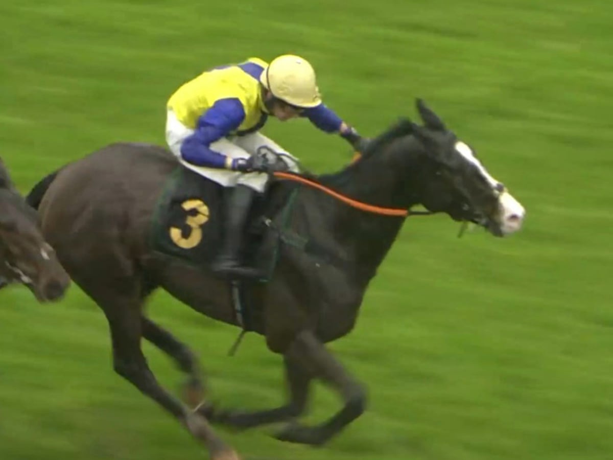 1win platform interface