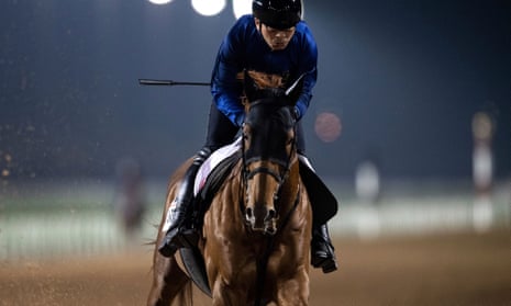 T O Keynes pictured on the gallops at the Dubai World Cup meeting this week.