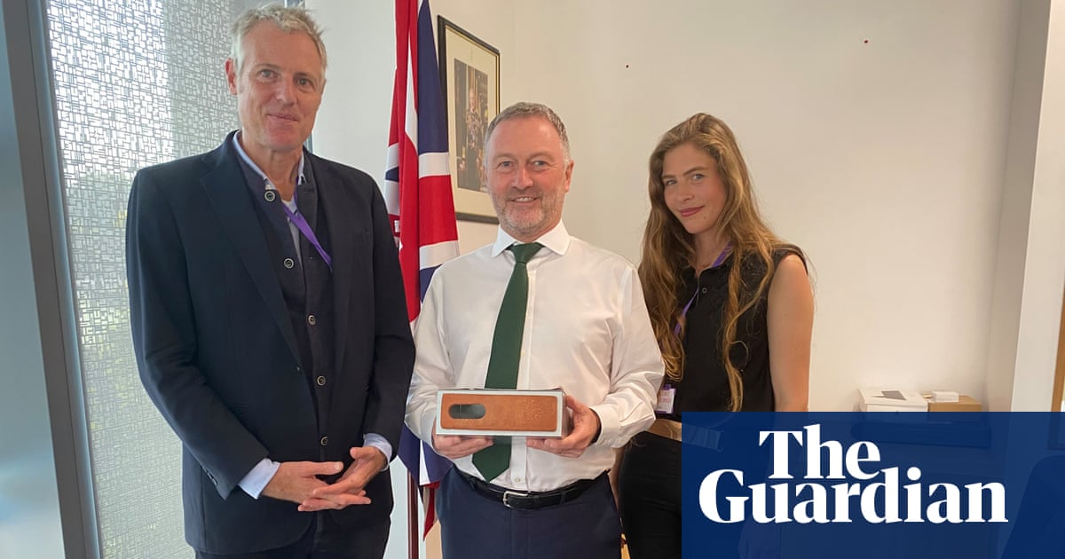 Government U-turns on support for bird-friendly swift bricks in new homes