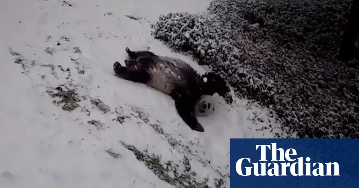 1800.jpg?width=1200&height=630&quality=8