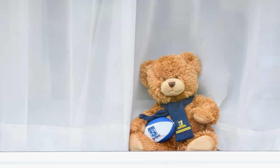 Just one of the teddy bears placed in windows across New Zealand to keep children occupied during the coronavirus lockdown.