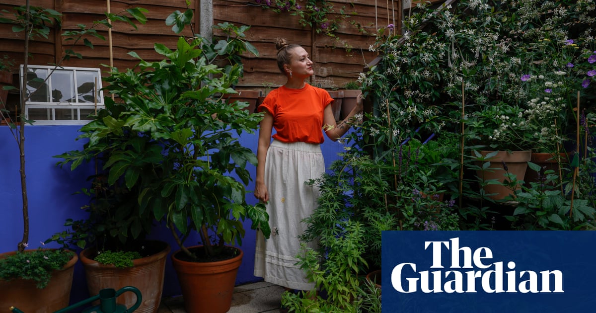 Experts Share Portable Gardening Tips for Renters