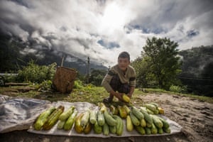 Young farmer selling produce