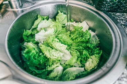 Top view of lettuce being washed in the sink under running water