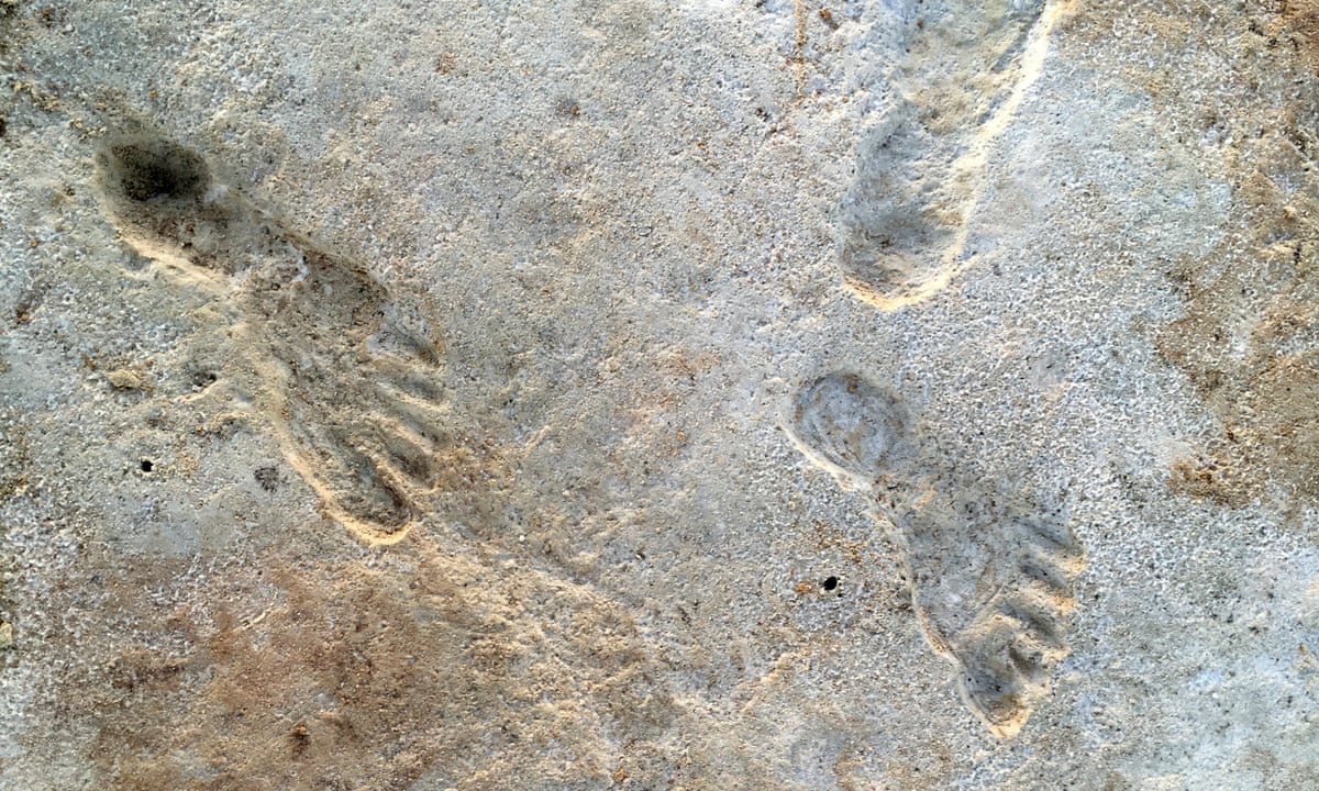 New Mexico footprints are oldest sign of humans in Americas, research shows  | Archaeology | The Guardian