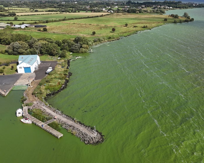 ‘Drinking from a fetid pond’: superbug-creating genes found in UK’s largest lake