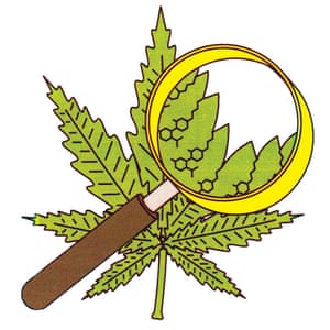 CBD