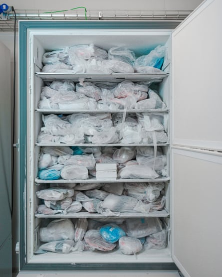 Biological samples stored at Lund University as part of the Pfas health study in Ronneby.