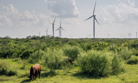 Wind turbines in Papalote, Texas.