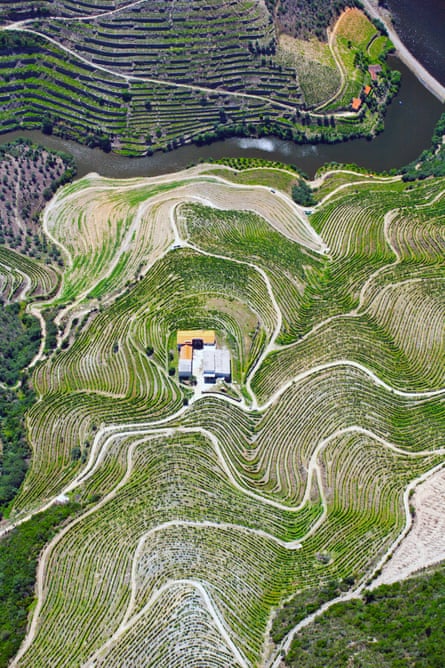 Aerial view of vineyard terraces and the Douro river in the Alto Douro region