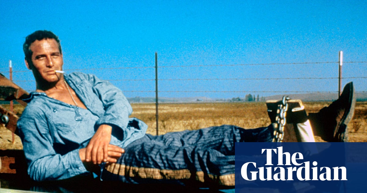 How I became a sexual creature  Paul Newman reveals all in newly discovered memoir