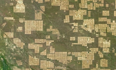 In the Gran Chaco deforestation tends to leave large rectangular clearings that reflect careful surveying by large-scale cattle-ranching operations.