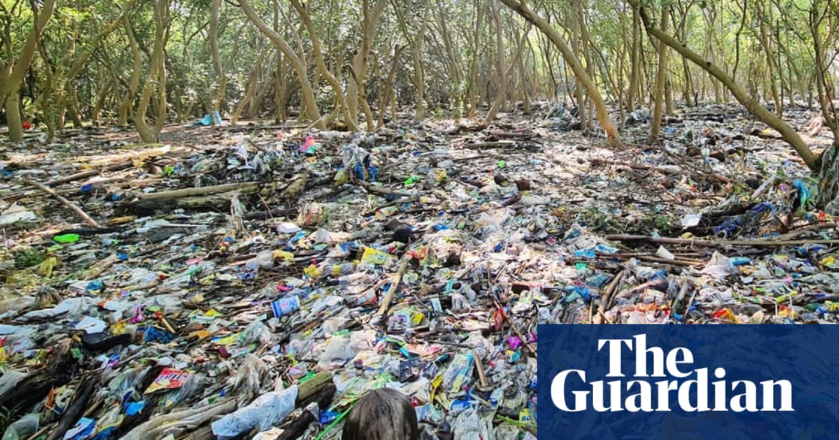 Photos show Manila Bay mangroves ‘choking’ in plastic pollution