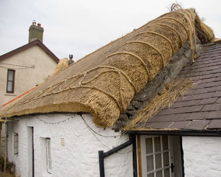 A thatched roof