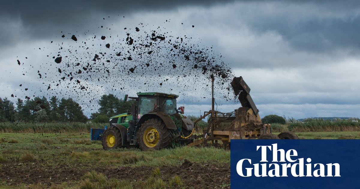 Mud, glorious mud: restored ditches bring birds flocking back to Norfolk wetlands