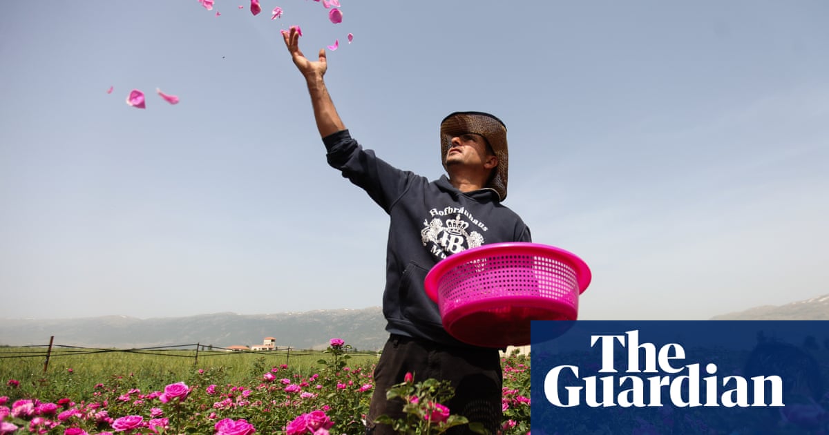 Rose seeds from Syria: the refugee family cultivating a new life | Jenny Gustafsson