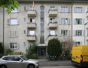 Cat Ladders A Creative Solution For Felines In Flats In