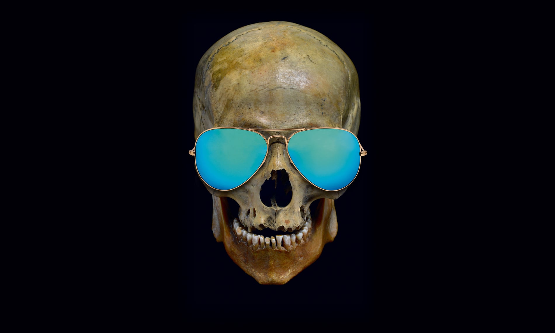 Skull in sunglasses