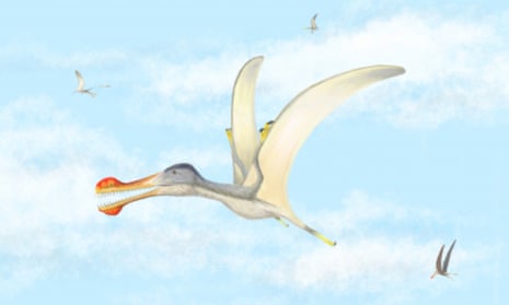 The fish-eating pterosaurs had wingspans of three to four metres. 