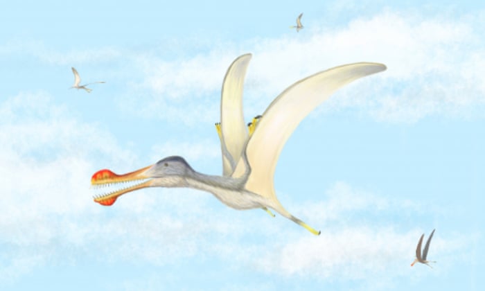 Scientists Discover Three New Species Of Pterosaurs In The Sahara