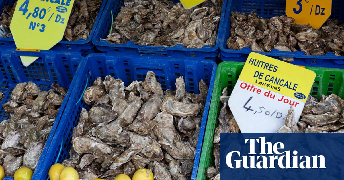  Brittany oyster farms hit by gastroenteritis epidemic 