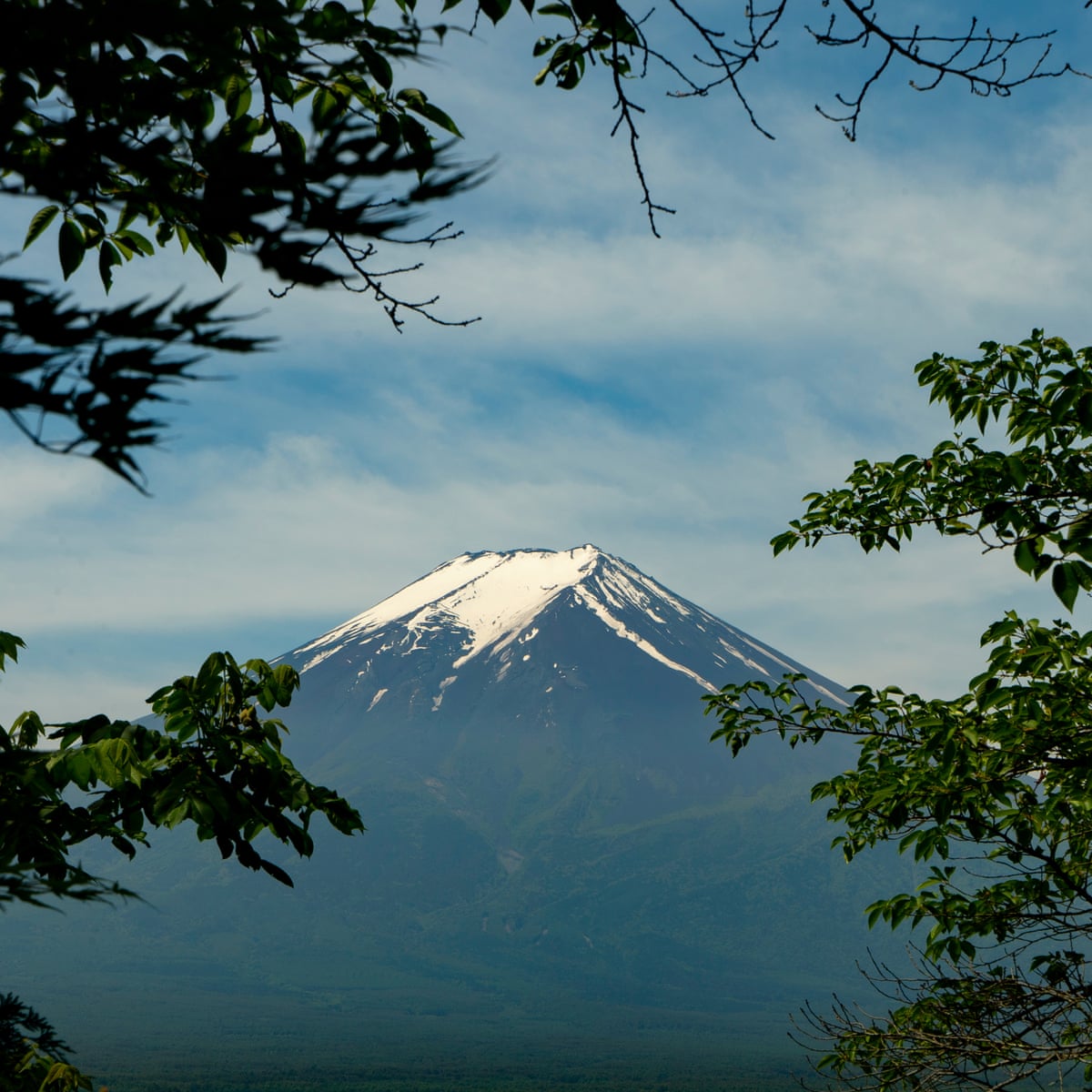 Van Gogh And Japan Review From Strange Obsession To Lasting Impression Documentary Films The Guardian Van Gogh And Japan Review From Strange Obsession To Lasting Impression Documentary Films The Guardian