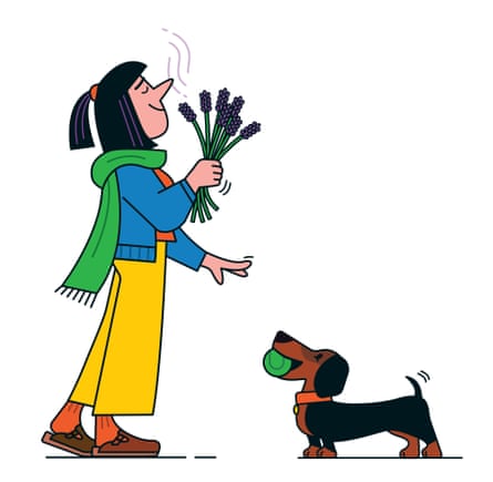 Ilustración de una mujer oliendo un ramo de lavanda