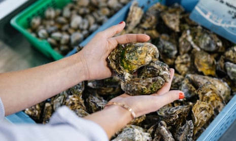 Oysters at a market in Noirmoutier
