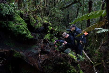 Two researchers look for tawaki penguins