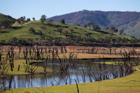Murray River Road is a picturesque drive hugging the Victoria-New South Wales border.