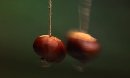A conker contest.