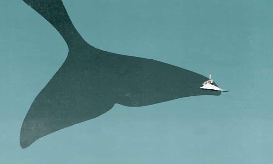 An illustration of the tail of a killer whale with a tiny capsized sailing boat on one tip of it