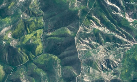 Top: A blooming hillside in Palmdale, California. Photograph: Maxar Technologies. Bottom: Wildflowers on the hillsides of the Carrizo Plain national monument.