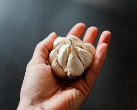 A hand holding garlic with its cloves open