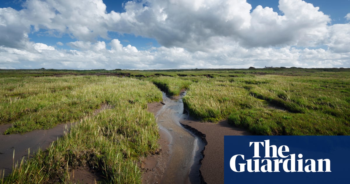 UK government to scrap European law protecting special habitats